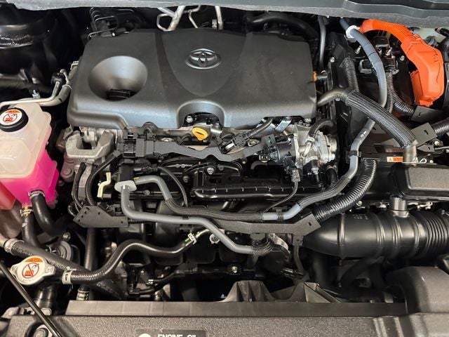 2025 Toyota Sienna Platinum 7 Passenger