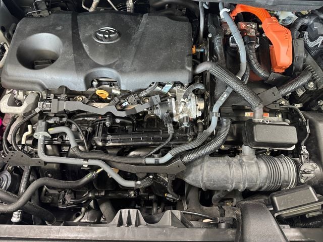 2023 Toyota Sienna XLE 7 Passenger