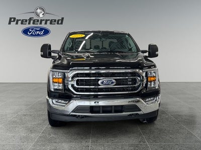 2023 Ford F-150 XLT 3.5 Liter V6 EcoBoost SuperCrew 4WD