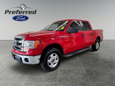 2014 Ford F-150 XLT 5.0 Liter V8 SuperCrew 4WD