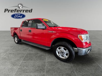 2014 Ford F-150 XLT 5.0 Liter V8 SuperCrew 4WD