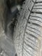 2014 Jeep Cherokee Sport